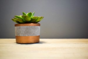 concrete planter kit - newly decorated