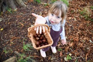 Little Drop In The Ocean - conker collecting