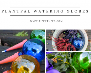 plantpal watering globes - pinable image