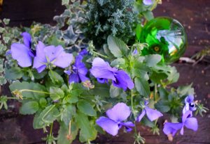 plantpal watering globes - green in use