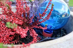 plantpal watering globes - blue in use