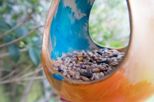 Spring Preparations with Baker Ross - bird feeder close up