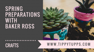 Spring Preparations with Baker Ross - blog header image