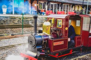 Conwy Valley Railway Museum - Douglas the steam train