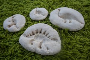 Make Your Own Dinosaur Fossils - our baked dinosaurs