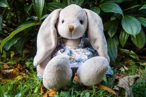 The Wonderful World of Wilberry - mrs Rabbit