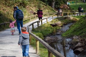 A walk through the enclosure