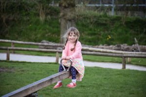 Playing in the adventure park at Monkey Forest