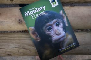 Monkey Forest - blog post header