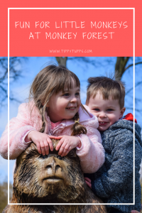 A fabulous family day out. Monkey Forest is a unique experience, giving visitors the opportunity to walk among approximately 140 free range Barbary Macaques. 