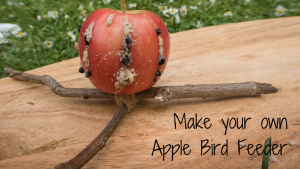 Make Your Own Apple Bird Feeder - blog post header