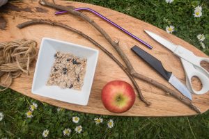 what you need to make your own apple bird feeder