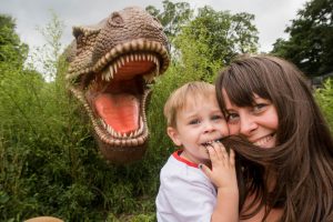 dino land at Thomas Land