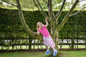 Climbing trees