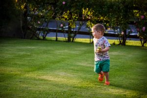 Enjoying the courtyard at Curlew Cottage