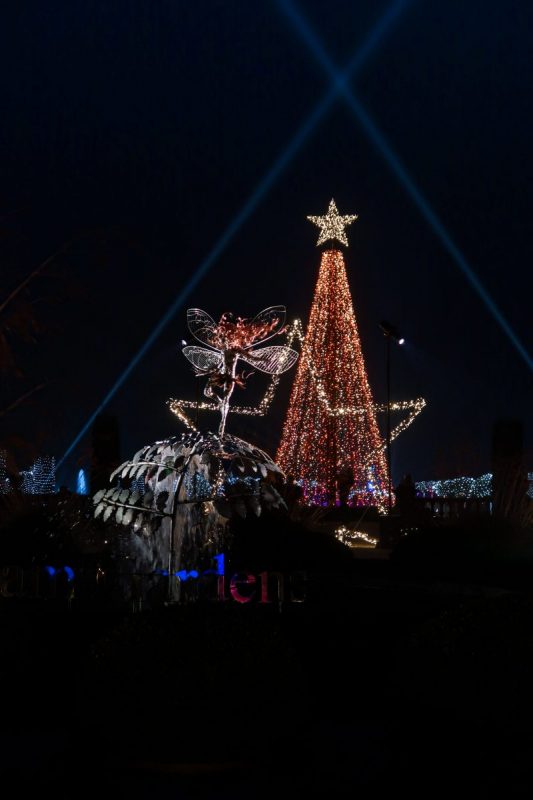 Views across Trentham Gardens at Christmas