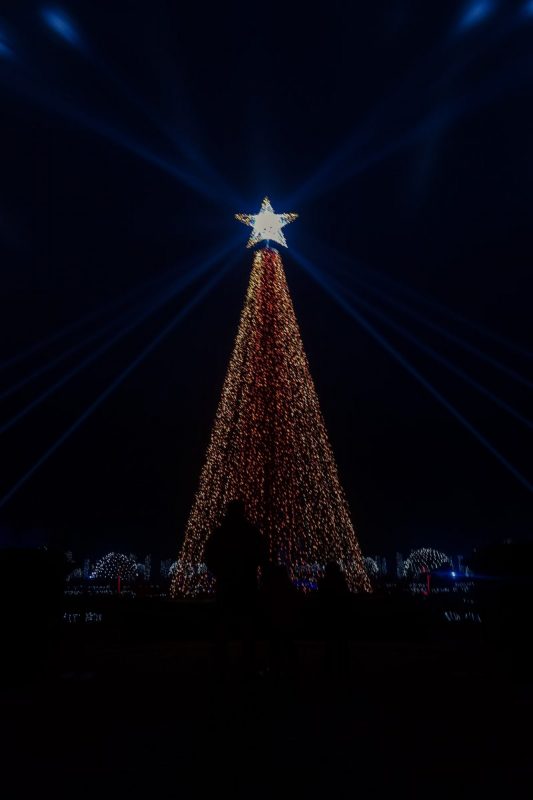 thousands of lights in the Christmas tree at Trentham Gardents