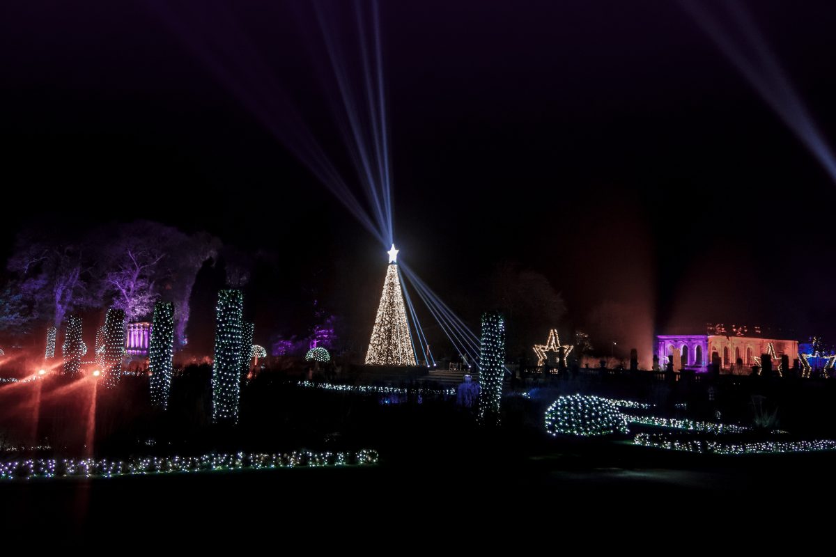 a sea of lights in Trentham Gardens