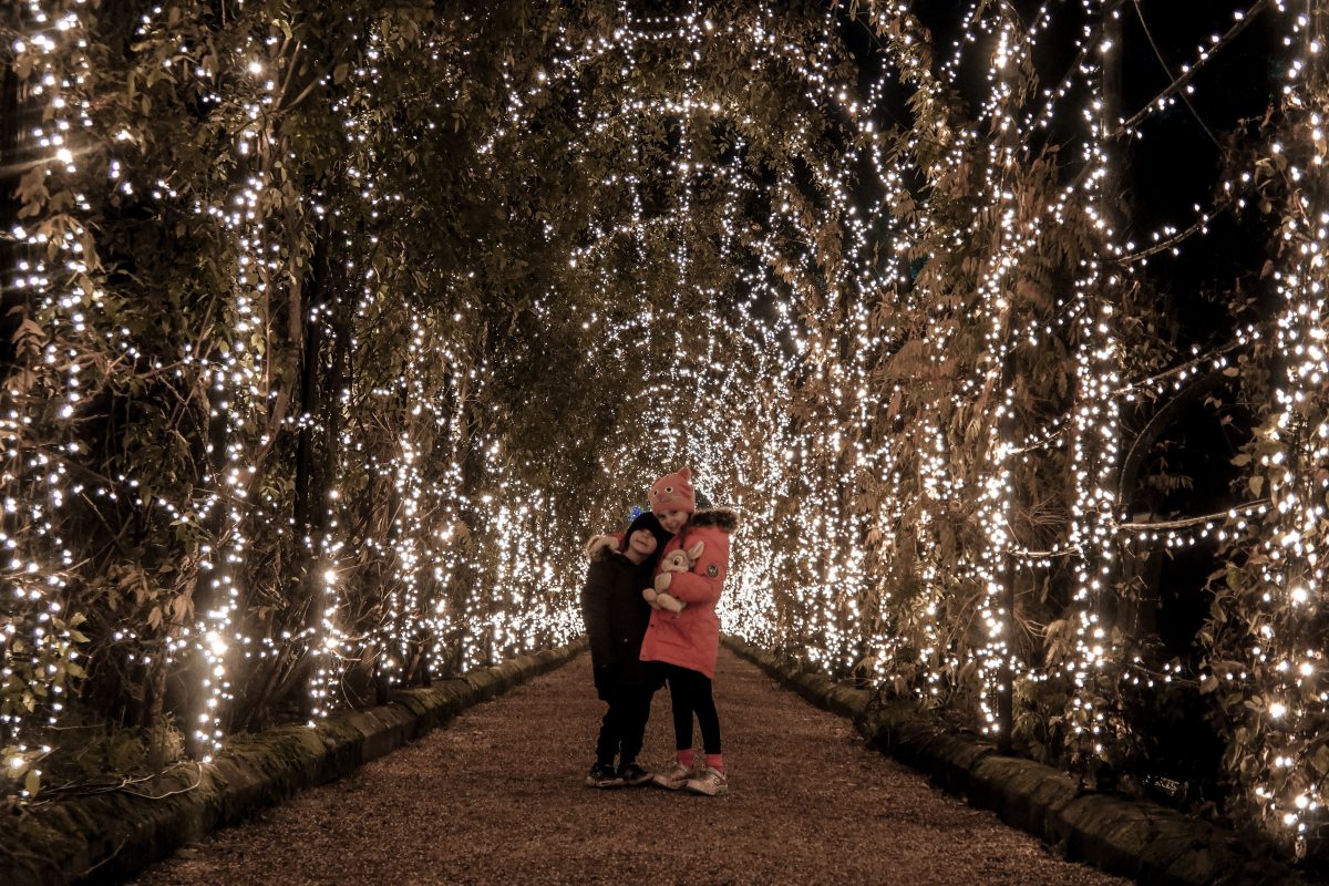 in the tunnel of light at Trentham Gardens at Christmas