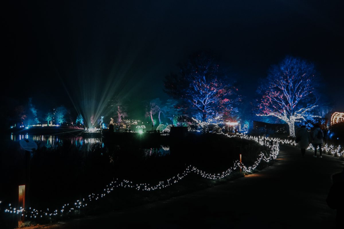 First impressions of Christmas at Trentham Gardens