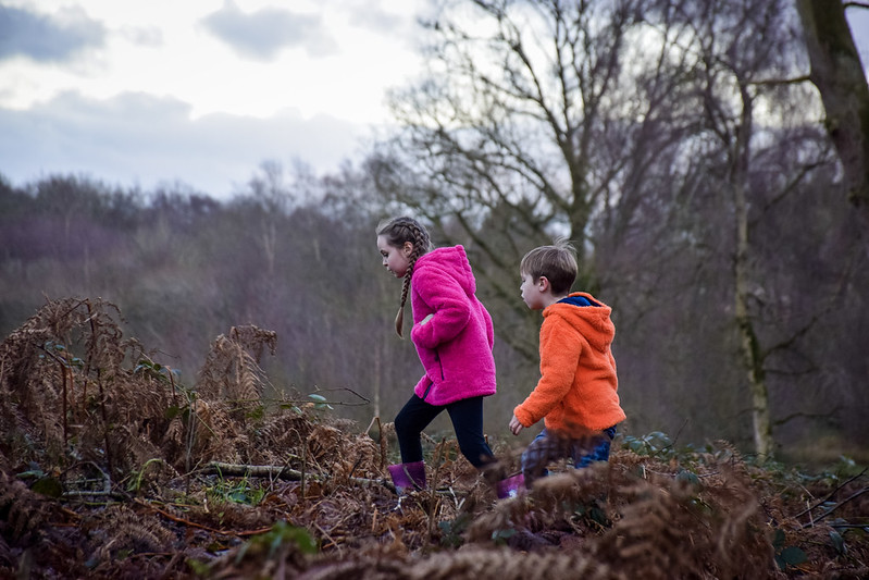 Onwards and upwards: exploring Brown Moss