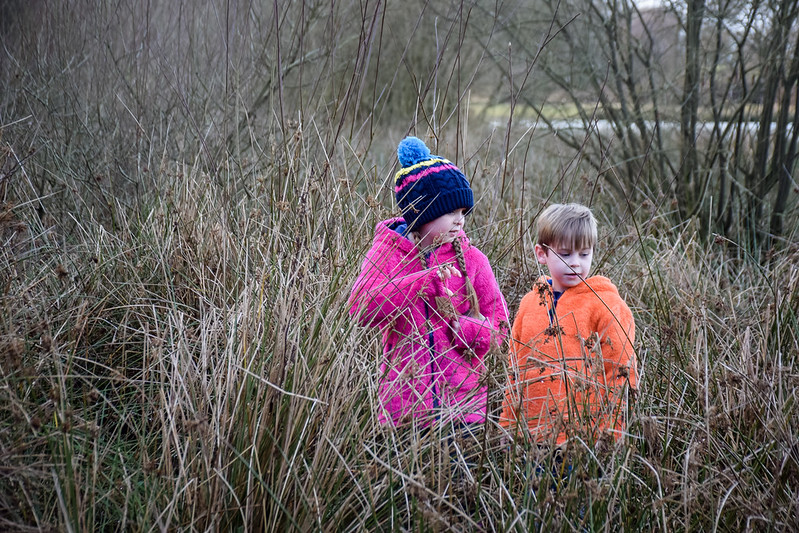 Exploring grasslands
