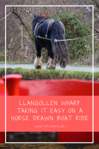 Family day out - a great option for both adults and children Llangollen Wharf has hosted canal rides as far back as 1884. Today, the long tradition continues, and visitors can enjoy a relaxing horse drawn boat trip along the canal. 