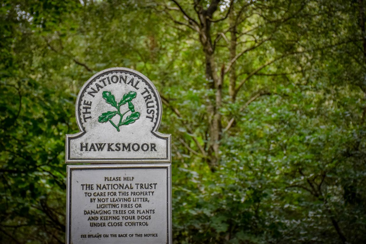 Hawksmoor - a National Trust woodland