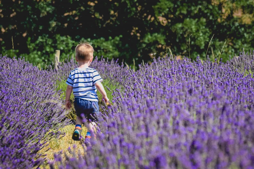 Photographing children in flowers - little legs in lavender