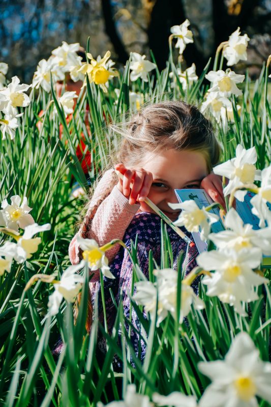 Photographing children in flowers - daffodils