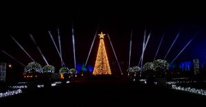 The stunning tree at Christmas at Trentham