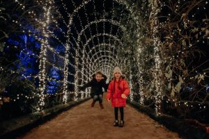 Jumping for joy at Christmas at Trentham