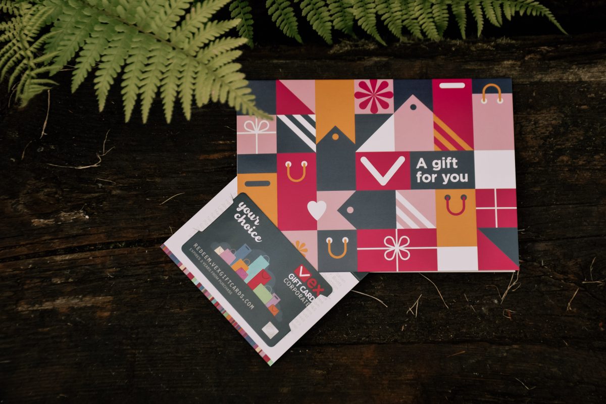 Father's Day gift idea: VEX Gift Card