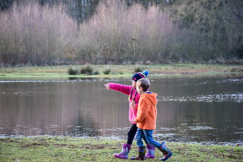 Exploring Brown Moss