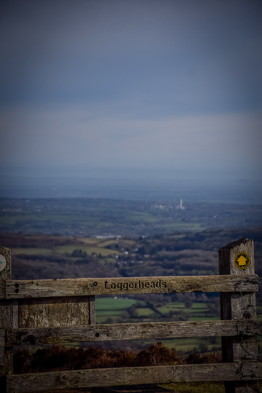 Looking across Flintshire