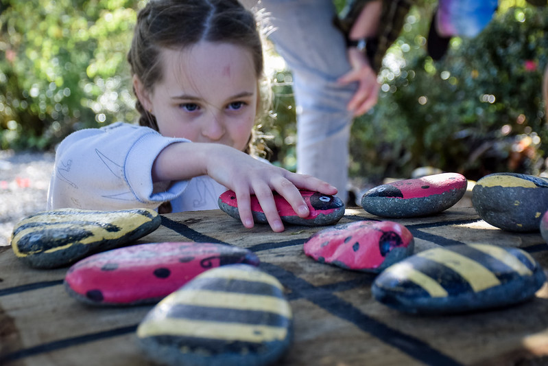 ladybirds and bumblebees at Plas yn Rhiw