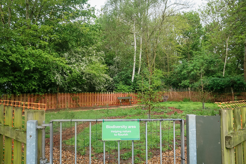 The biodiversity area at Ferry Meadows Club Campsite | Peterborough