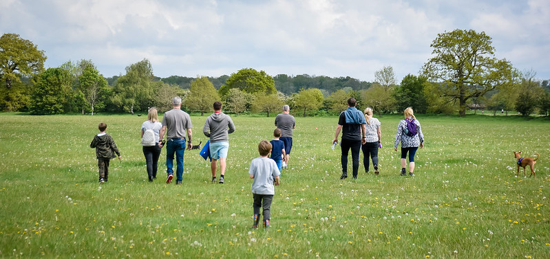 Meadow walks at Ferry Meadows country park