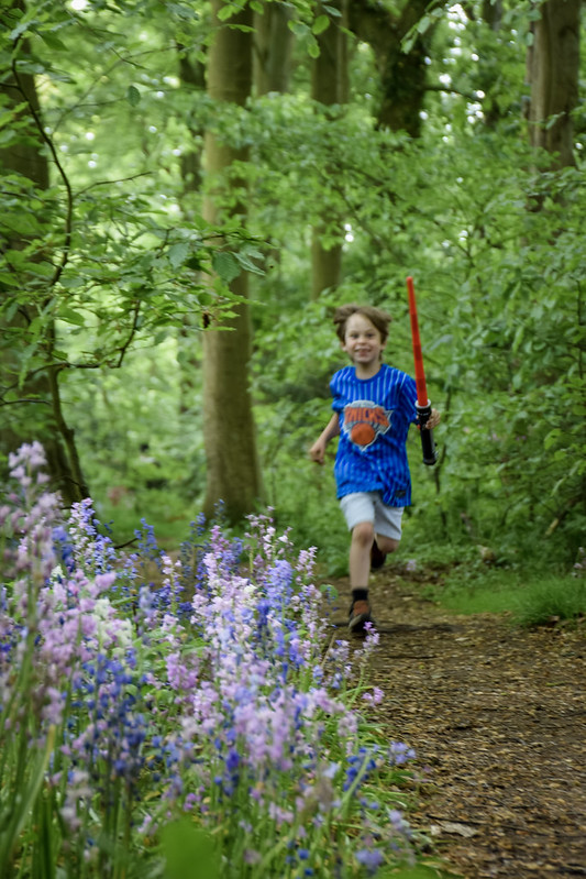 Running through the woods near Bridlington Club Site