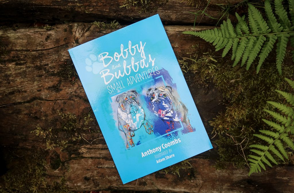 7 gift ideas for 7 year olds - Bobby and Bubba book
