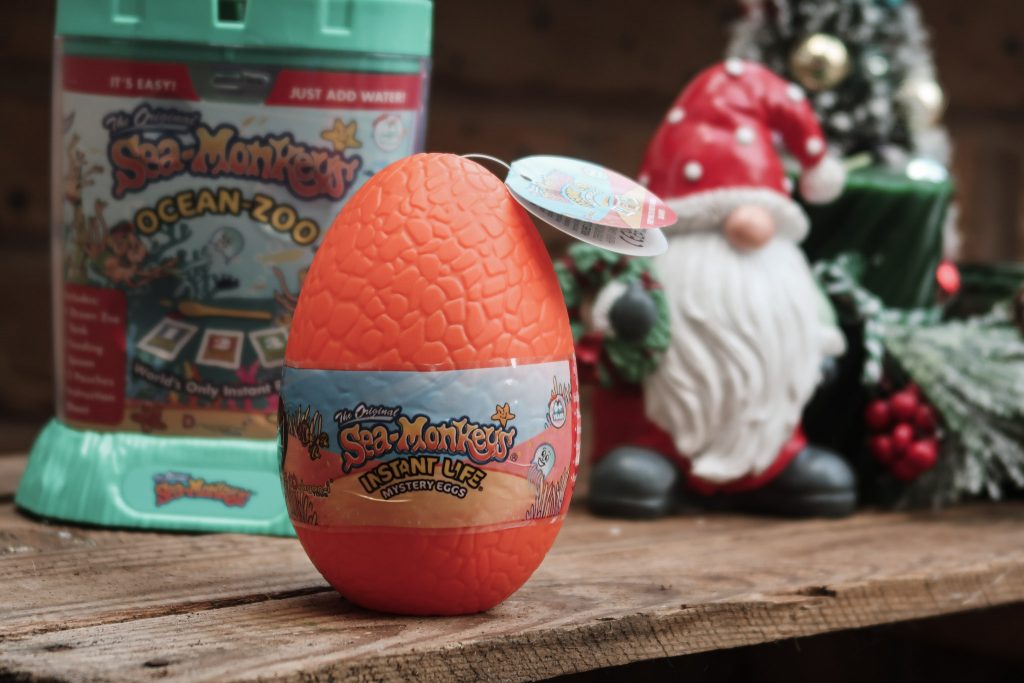 Stocking filler gift guide - Sea Monkeys